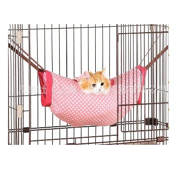 猫筒